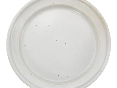  Speckled Ceramic Plate Model, White 
