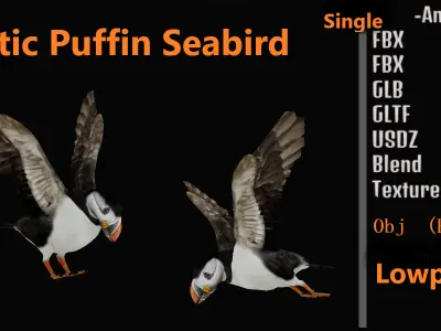 Atlantic Puffin Seabird Low-poly 3D model