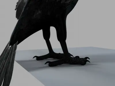 3D Crow raven with wings spread 3D model