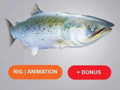 Salmon Plus Animation  Low-poly 3D model