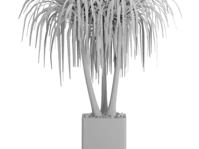 Indoor Plants in Ferm Living Bau Pot Large - Set039 3D model