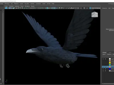 Realistic Animated Raven Low-poly 3D model