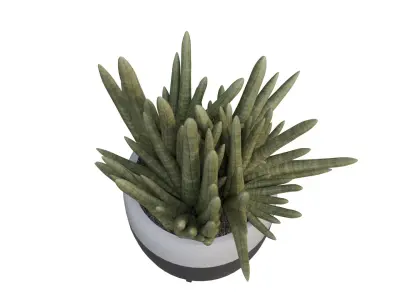 3D Model of Indoor Bamboo Plant Realistic and Printable Free low-poly 3D model