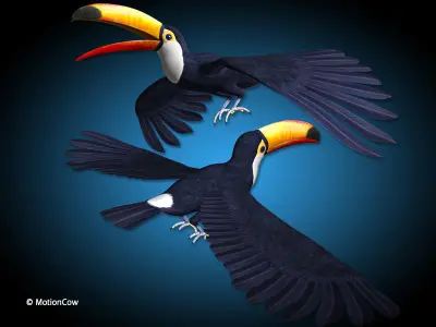 Toucan A - Flight 3D model