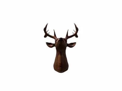  3d Render Close Up Of Red Deer Head 3D model