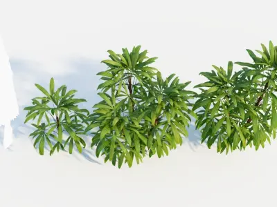 Chuniophoenix humilis a 3D model