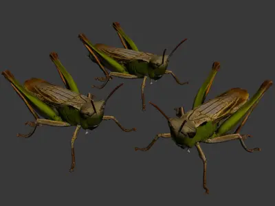 Grasshopper 3D model
