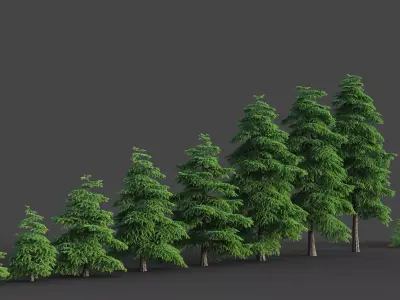 XfrogPlants Himalayan Cedar - Cedrus Deodara  3D model