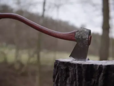 Realistic Axe Free low-poly 3D model