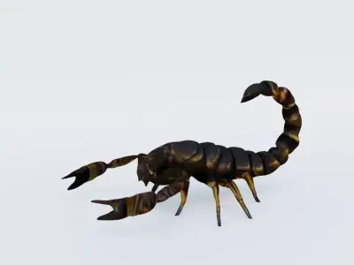 Scorpion Free 3D model