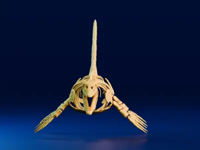 Realistic Ancient Reptilians Fossil - Mosasaurus Low-poly 3D model