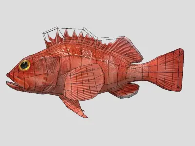 red rockfish Low-poly 3D model