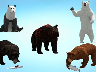 5 in 1 Realistic Bear Pack Low-poly 3D model