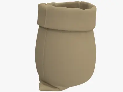 Sack v11 3D model