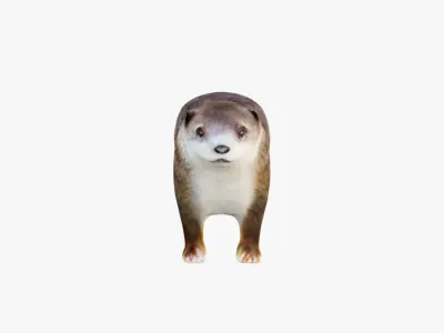 Otter Free 3D model