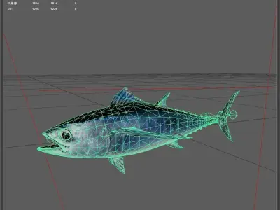 Tuna fish Low-poly 3D model