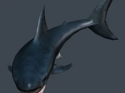 3DRT - Shark Jaws Pack Low-poly 3D model