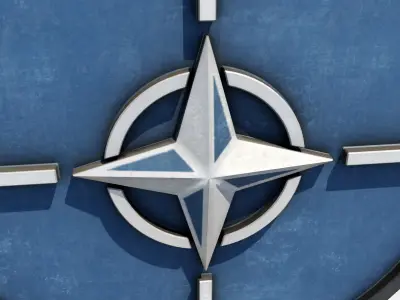 Nato Plate Low-poly 3D model