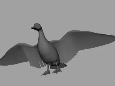 mallard duck flying in air 3D model