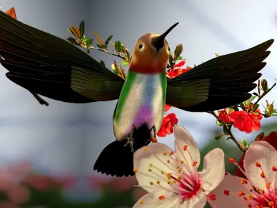 HummingBird flying in cherry blossoms 3D model