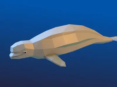 Beluga whale Low Polygon Animal Arctic sea ocean  Low-poly 3D model