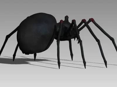 Black spider Low-poly 3D model