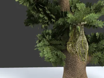 Baya Weaver Nest 3D model