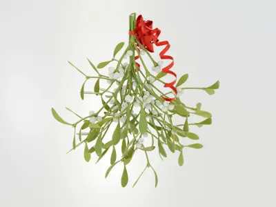 Mistletoe Bunch 3D model