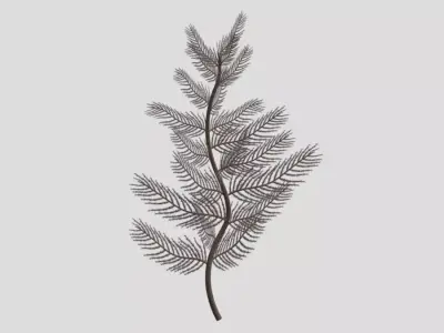 Antipatharia coral Low Poly Free low-poly 3D model