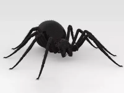 Giant Spider 3D model