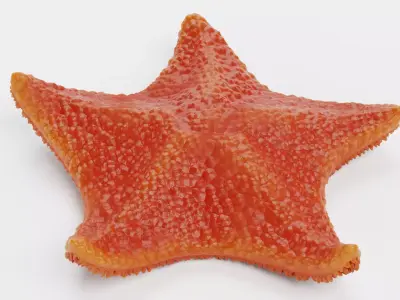 -Bat Starfish Red Rigged- 3D model