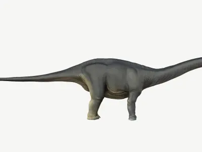 Apatosaurus dinosaur Low-poly 3D model