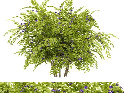 Flower Bush Plant Free 3D model