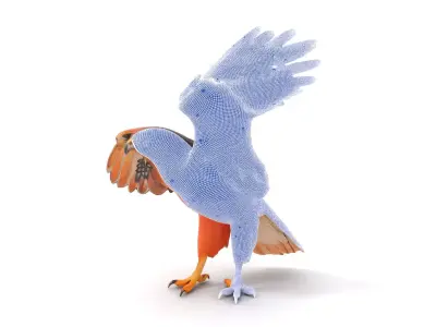 Majestic Golden Eagle model pack Low-poly 3D model