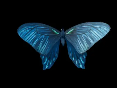 BlueButterflyAnimationC4D 3D model