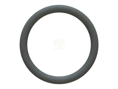 O Ring Vedabras 12172 3D model