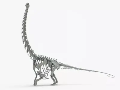 Argentinosaurus Rigged Skeleton Low-poly 3D model
