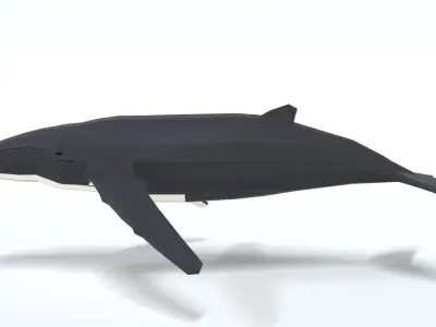 Low Poly Cartoon Humpback Whale Low-poly 3D model