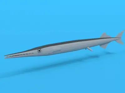 Low Poly Cartoon Garfish Low-poly 3D model