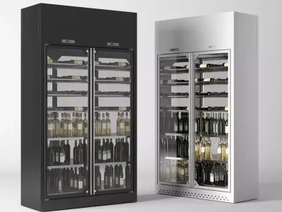  Wine cooler enofrigio 2P 1p wall h260 P60 3D model