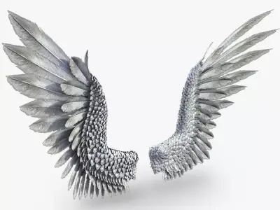 Pair of Bird  Wings 3DS Max Low-poly 3D model