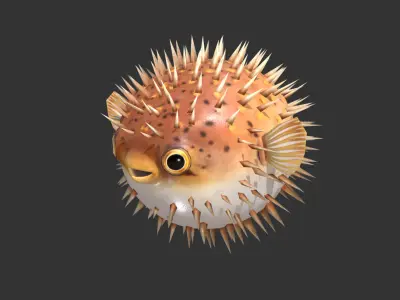  Puffer fish01 Low-poly 3D model