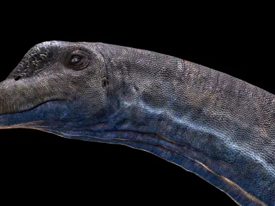 Argentinosaurus Animated 3D model