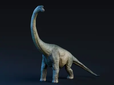 Low poly Realistic Dinosaur - Brachiosaurus Low-poly 3D model