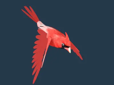 Cardinal bird 3D model