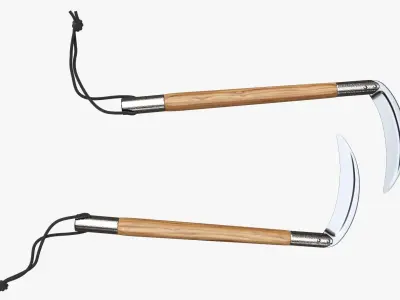 Two competition Kamas 3D model