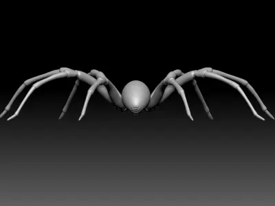 Brown Recluse Spider Low-poly 3D model