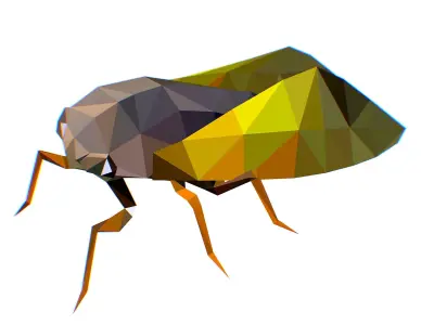 Animated Cicada Lowpoly Art Style Low-poly 3D model