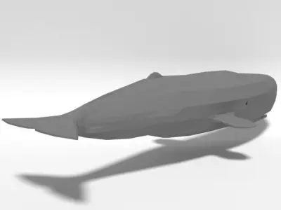 Low Poly Cartoon Sperm Whale  Low-poly 3D model