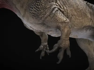 Torvosaurus Low-poly 3D model